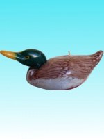 Bougie canard col vert