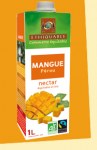 Nectar mangue  BIO 1L brique 