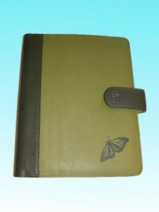 Organiser  papillon vert,