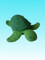 Tortue verte