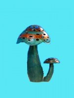 Photophore champignon